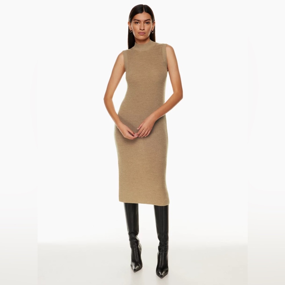 SOLD Babaton Aesthetica Dress